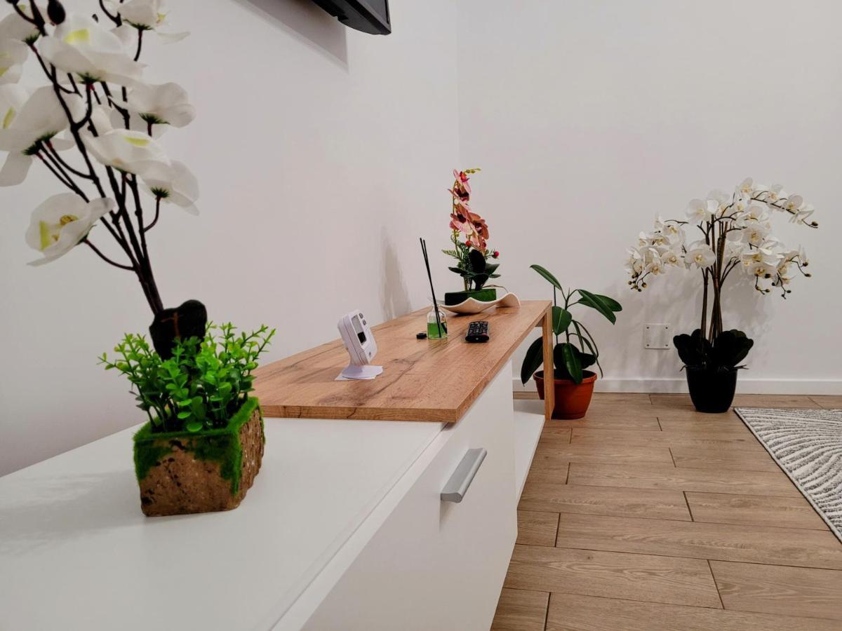 브라쇼브 Casa Feli 아파트 외부 사진